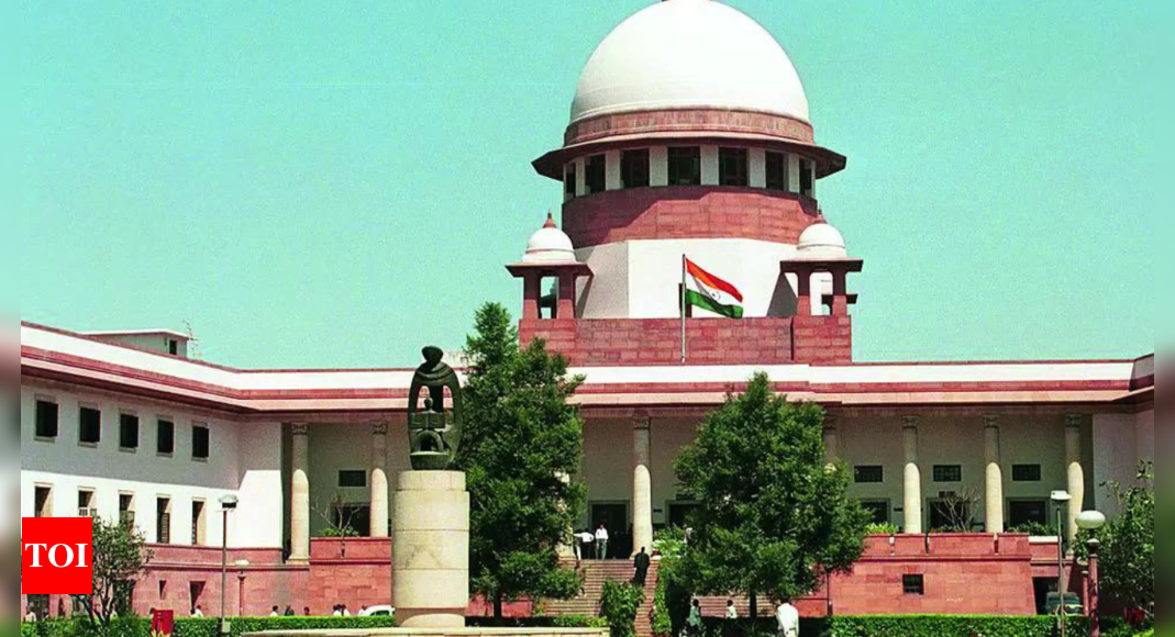 ‘What happens to democracy if you interfere like this’: Supreme Court questions Delhi LG on ‘hurry’ to hold MCD elections | India News