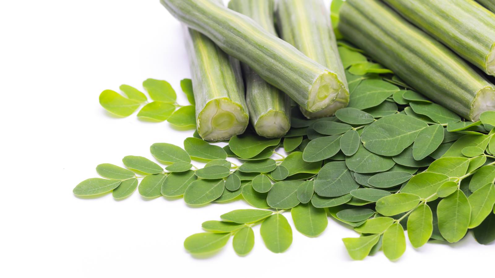 Take moringa to increase hemoglobin level – take moringa to increase hemoglobin level